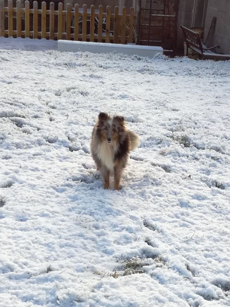 Du domaine de cora de ramatuelle - la NEIGE !