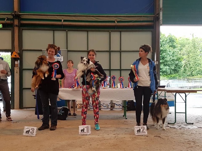 Du domaine de cora de ramatuelle - Championnat de France agility à la Nationale d'Elevage